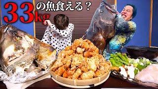 【大食い】素潜り漁師から『高級魚クエ33kg獲れたから食べに来て』と連絡きました…。【素潜り漁師マサル】