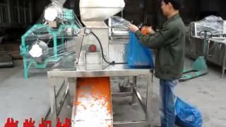 Fruit and vegetable Hammer Crusher