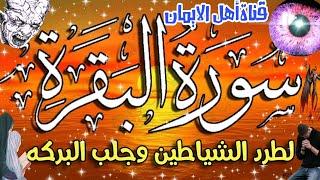 سورة البقرة كاملة مكررة لطرد الشياطين والجن والسحر والحسد وجلب الرزق والبركة تحصين surat albaqara