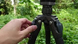 Tripod features compare Gitzo GT2543L vs Feisol CT-3442