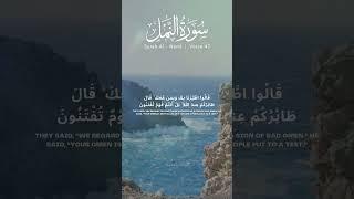 Surah Naml verse 47 48 [Recitation of Quran] #quranrecitation #quranverses #translation #surah