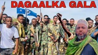 GARAAD JAAMAC GARAAD CALI HUB CULUS MADAFIIC TIJAABIYAY MUDUG CIIDANKII UGU BADNA HUB CULUS & GADIID