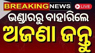 Ratna Bhandara Live: ଭିତରୁ ବାହାରିଲେ ଅଜଣା ଜନ୍ତୁ | Puri Srimandir Ratna Bhandar | Odia News