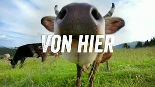 ALDI Suisse TV-Spot:  Bio-Produkte aus der Schweiz