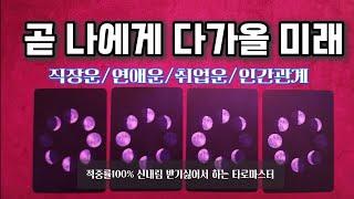 [타로_직장운]곧 나에게 반드시 일어날일 직장운,연애운,취업운,인간관계운 fortune tarot English subtitles