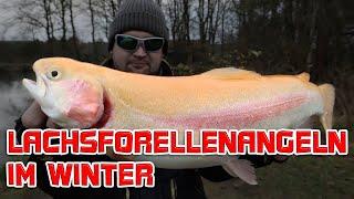 Lachsforellenangeln im Winter | Patricks Angelteiche | Forellenangeln mit dem Spoon