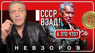 Зло нуждается в корнях, как пройти тест на губернатора #невзоров