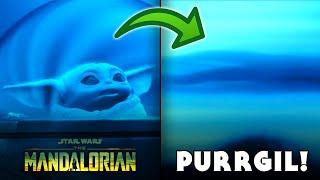 What Did GROGU (Baby Yoda) See In Hyperspace? PURRGIL Explained