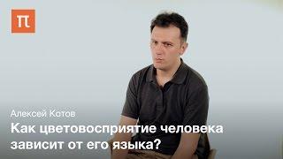 Влияние речи на категориальное научение - Алексей Котов