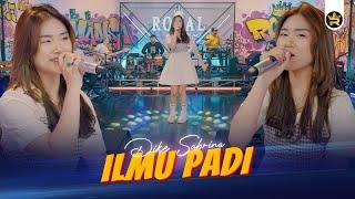 DIKE SABRINA - ILMU PADI ( Official Live Video Royal Music )