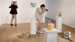 Ultimate Photographer Fails Compilation Best Hilariously Awkward WEDDING PHOTO FAILS