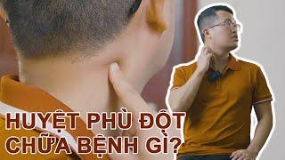 Tìm hiểu những tác động đến hệ hô hấp và hệ tuần hoàn của huyệt Phù đột