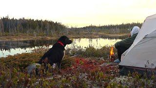 3-Day Solo Wilderness Camping and Fishing for Brook Trout in the Backcountry!