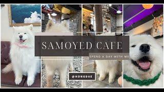 [VLOG] Samoyed Cafe @ Hongdae | Winter Village Samoyed Cafe (겨울머무는집)