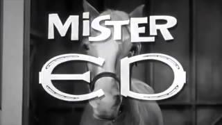 Mr. Ed the talking horse theme song