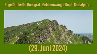 Nagelfluhkette: Hochgrat - Gelchenwanger Kopf - Rindalphorn (29. Juni 2024)