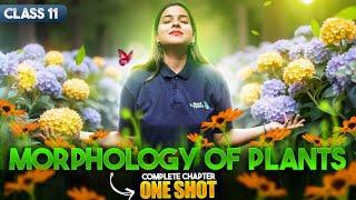 Morphology of Flowering Plants Class 11 One Shot | NCERT Biology FULL Chapter Revision