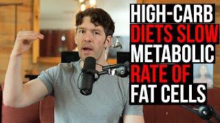 Fat Cell Metabolic Rate Slowed by High-Carb Diets (new study)