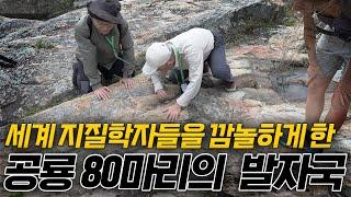 공룡 80마리가 한 장소에서 나타났다?!ㅣ경상남도 (SUB)