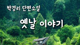 [옛날 이야기_박경리] 일제 강점기... 심노인 나름의 기발한 독립운동^^| 켈리의 작은도서관