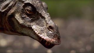 Hunting with a T-Rex | Walking with Dinosaurs in HQ | BBC Earth