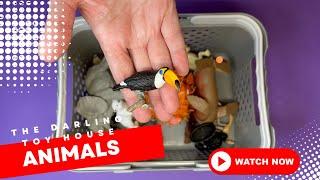 New Animal Mixup | the darling toy house | learn animal names | animal sorting