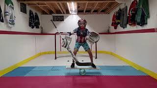 D'Artagnan Tapler -Winter '18 Off Ice Hockey Goalie Training at Home