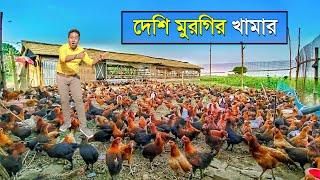 আদর্শ দেশি মুরগির খামার | Murgi Farming | Layer Murgi Farm | Local Murgi Farm | Desi Poultry Farm