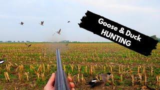 5 GEESE with 4 SHOTS - Duck and goose hunting