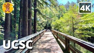 UCSC Campus Walking Tour | {4k}  Binaural Sound