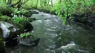 8 horas de águas descendo do riacho p Relaxar dormir meditar