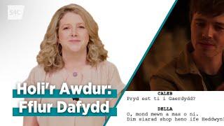 Holi'r Awdur - Fflur Dafydd | Yr Amgueddfa