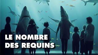 Pourquoi les REQUINS devraient être plus nombreux ?