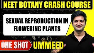 SEXUAL REPRODUCTION IN FLOWERING PLANTS in 1 Shot: All Concepts, Tricks & PYQs | NEET Crash Course