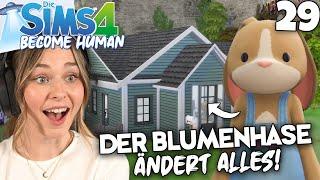 Das Leben mit dem BLUMENHASE!  - Die Sims 4 Become Human Part 29 | simfinity