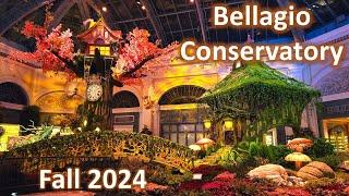 Bellagio Conservatory 2024 | Bellagio Garden Fall Display | Bellagio Las Vegas | Las Vegas 2024