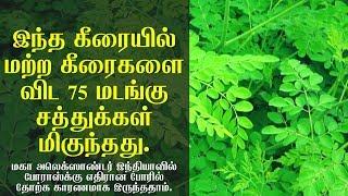 முருங்கை கீரையின் மகிமை | Moringa leaves health benefits in tamil