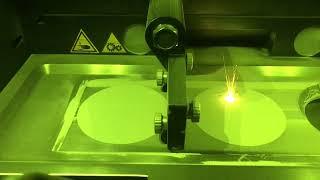 Selective Laser Melting Process