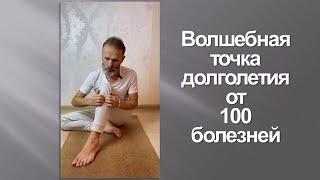 Волшебная точка долголетия от 100 болезней. Magic point of longevity from 100 diseases