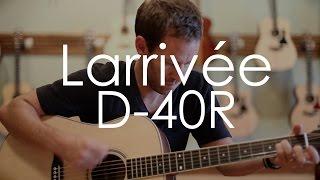 Larrivee D-40R