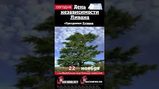 Сегодня, 22 ноября , в этот день отмечают праздник, День независимости Ливана