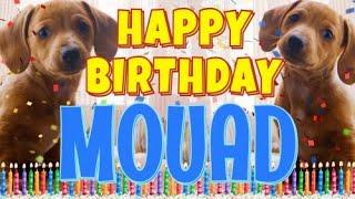 Happy Birthday Mouad! ( Funny Talking Dogs ) What Is Free On My Birthday