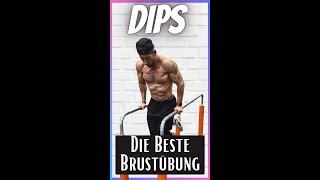 Dips - Die beste Übung für deine Brust! #shorts