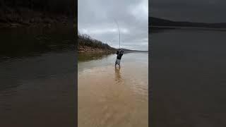 Catching a OKLAHOMA Dinosaur‼️ #oklahoma #fishing #paddlefish #dinosaur