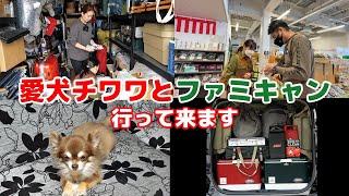 【愛犬チワワと一緒に1泊2日ファミリーキャンプ行って来ます！】