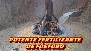 POWERFUL NATURAL PHOSPHORUS FERTILIZER, THE BEST WITHOUT A DOUBT, "FOSFITOS"