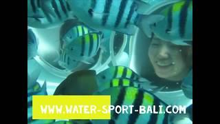 Bali Marine Walk Tour Water Sports Tanjung Benoa