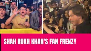 Shah Rukh Khan | Exclusive: A Glimpse Of Shah Rukh Khan's 'Jabra' Fans At Locarno Film Festival