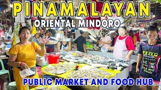 PINAMALAYAN Town Proper Walking Tour | Rainbow Town of Oriental Mindoro |  Market and Peoples Plaza