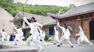 Wushu performance by student